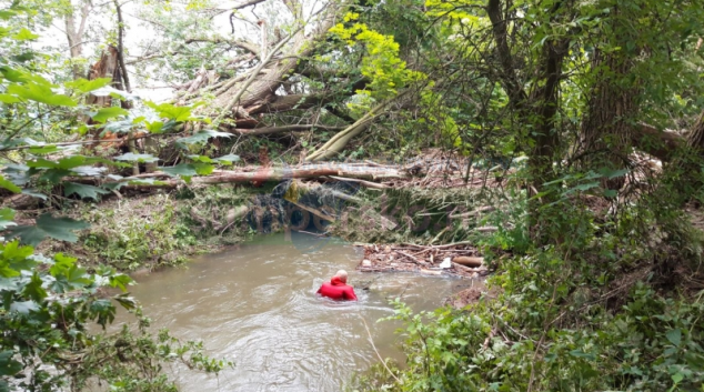 Policisté i nadále pátrají po pohřešované seniorce z Oskavy