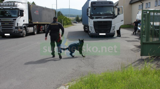 Policie v kraji kontrolovala nákladní vozidla a autobusy