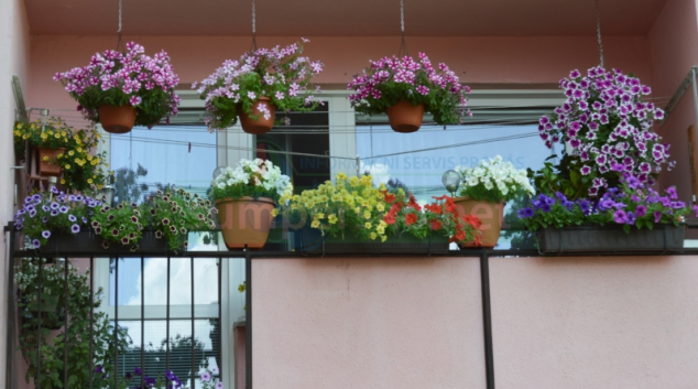 Zábřežská radnice ocení rozkvetlá okna, balkony i předzahrádky