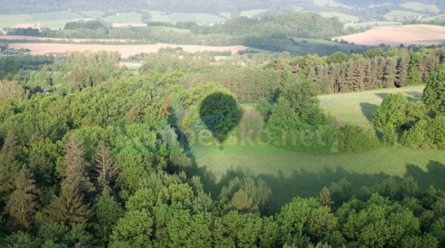 V šumperském příměstském lese vznikne odpočinková zóna