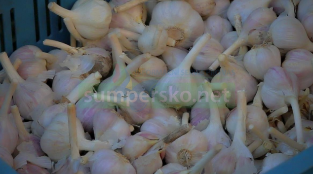 Zloděj ukradl česnek za 80 tisíc korun