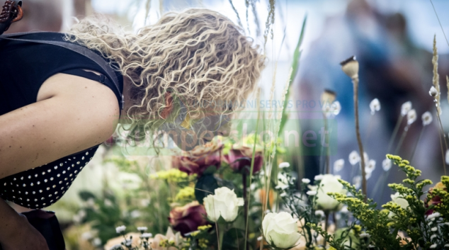 Letní Flora Olomouc bude letos jedinou květinovou výstavou tohoto rozsahu v ČR