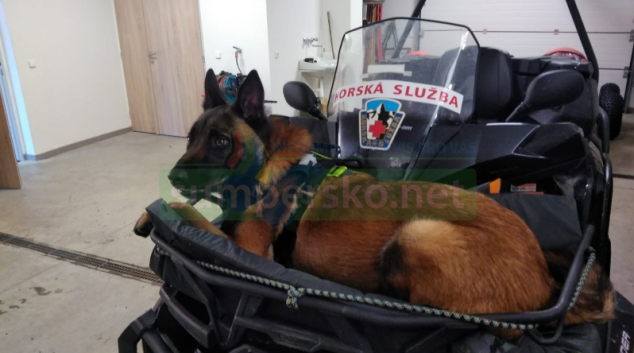 Večerní pátrání pod Pradědem