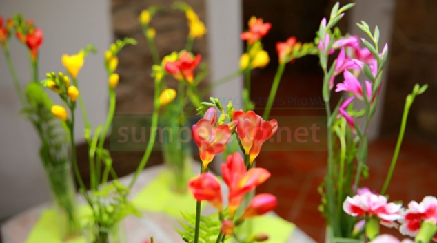 Výstava květin ve vikýřovické Galerii Zámeček