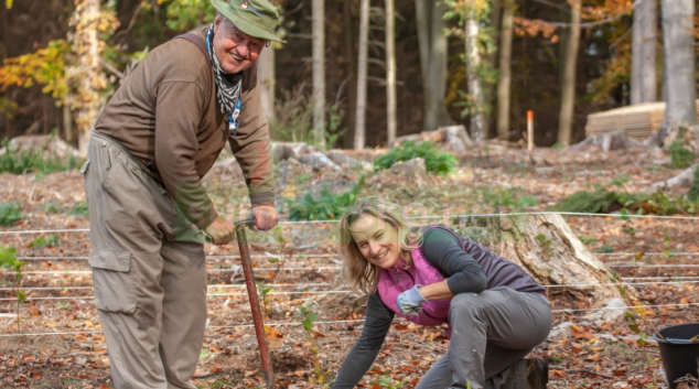 Tradiční Den za obnovu lesa se koná v říjnu