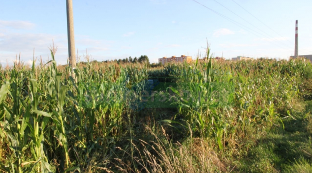 Řidiči na Šumpersku se chtěli vyhnout silniční kontrole. Neúspěšně!
