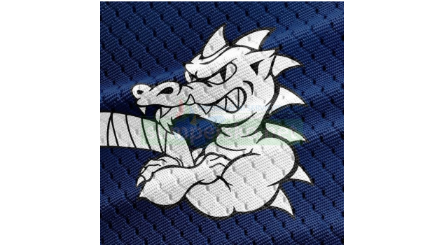 VHK Robe Vsetín vs Draci Pars Šumperk 6:0