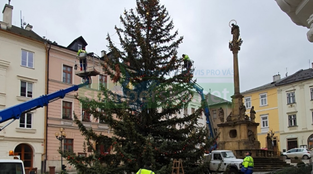 Šumperk hledá vánoční strom