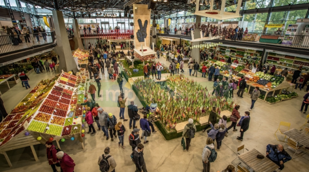 Podzimní výstava Flora Olomouc