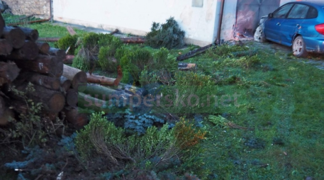 Ve zdi domu zakončil řidič průjezd Libinou