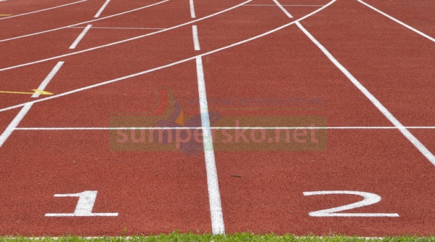 Vrcholoví sportovci nastartují na UP druhou kariéru