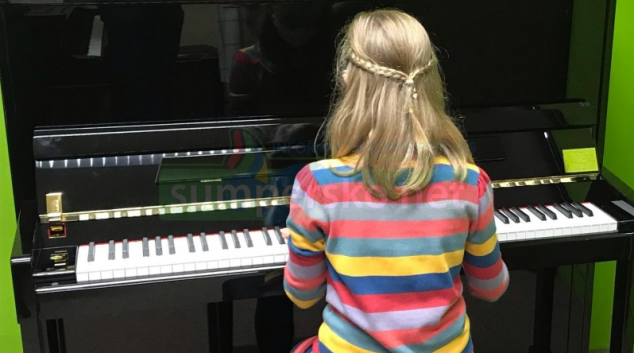 Krajské ZUŠky získaly darem peníze na nová pianina