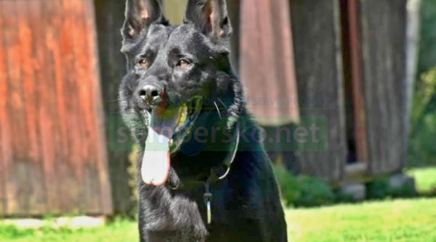 Umpalumpa zachránce