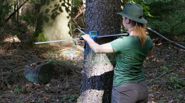 Letní adjunkti najdou uplatnění