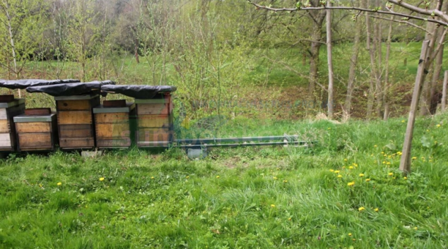 Zloděj ukradl úly i s včelstvem