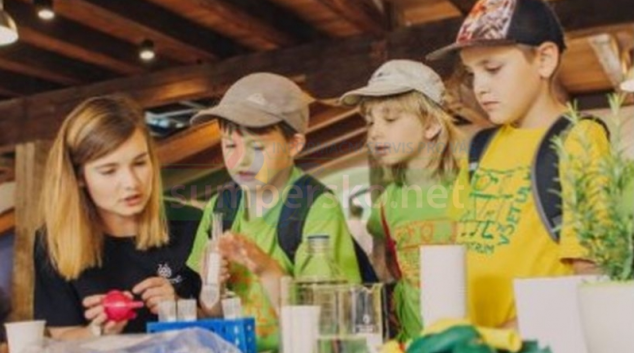 Pohled na rostliny jinýma očima