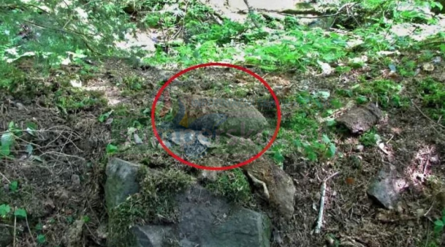 Detektor kovů odhalil dělostřelecký granát