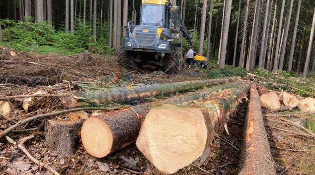 Také na Svitavsku se těží dřevo pro Moravu