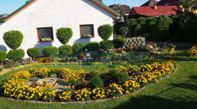 Zábřežská radnice opět ocení rozkvetlá okna, balkony i předzahrádky