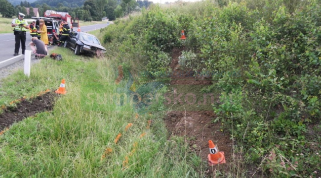 Řidička se více věnovala psu, než řízení