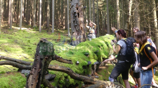 Soutěž Zelená škola zná vítěze