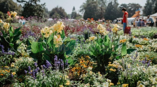 Letní Flora Olomouc – Souznění s přírodou