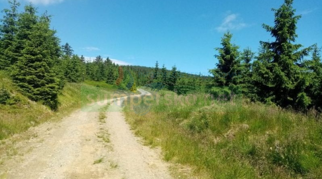 Cyklističtí vytrvalci změří síly na jesenických trasách UltraBikers