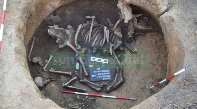 Archeologové odkryli v kraji překvapivé nálezy
