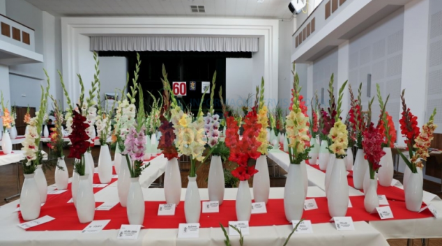 V Rapotíně se vystavovalo 480 mečíků v 386 vázách