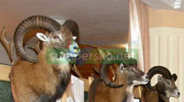 Pozvánka na přehlídku trofejí