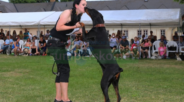 Šumperský hafan 2021