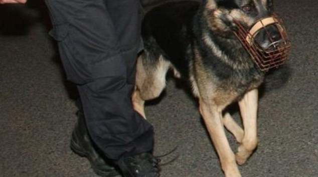 Dvanáct kilometrů stopování přineslo úspěch