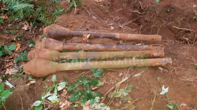 Zrezivělá munice ležela v lesním porostu