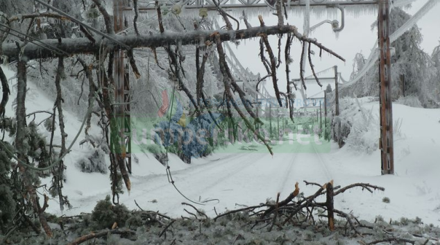 Výjimečné meteorologické situace v Jeseníkách a Rychlebských horách