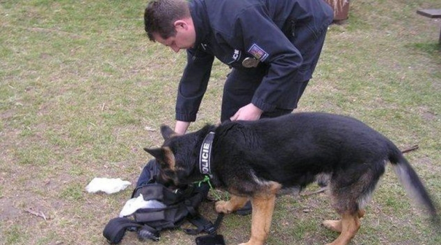 Policejní pes Falko opět pomohl