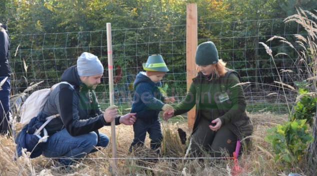 Jaký byl letošní Den za obnovu lesa?