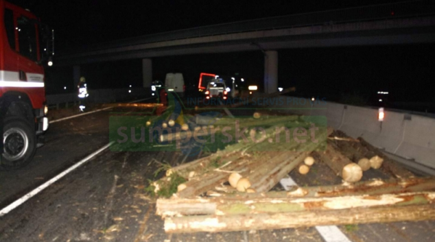 FOTO. Klády se válely po dálnici