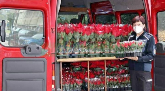 Začala se rozvážet „Vánoční hvězda 2021“