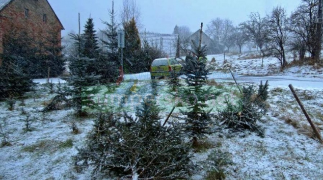 Řidička na Šumpersku za jízdy usnula