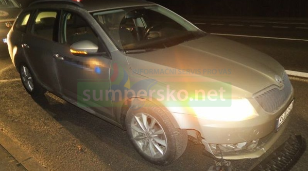 Bobr zkřížil cestu vozidlu