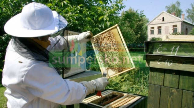 Včelaři mohou počítat s podporou
