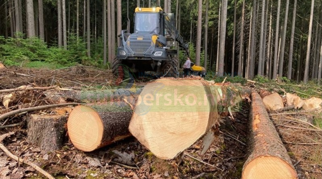 Lesy ČR vyřizují poslední žádosti lidí postižených tornádem