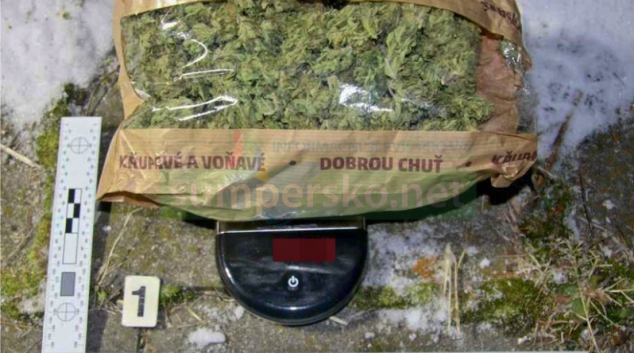 Na dálnici D35 převážel patnáct tisíc sazenic konopí