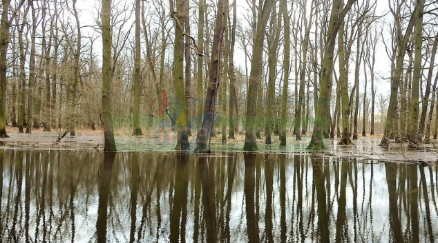 Voda z Nových Mlýnů zaplní kanály