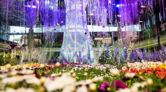 Květinová Flora Olomouc je zpět