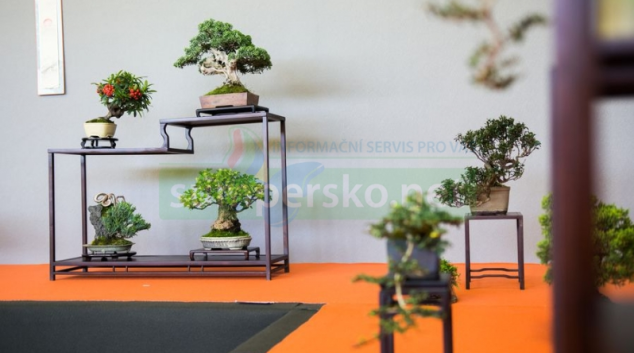 Živé sochy staré stovky let