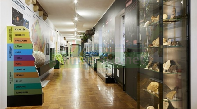 Vlastivědné muzeum v Olomouci vstoupilo do své přelomové sezóny