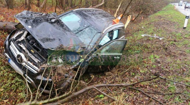 Řidič narazil do náletových dřevin