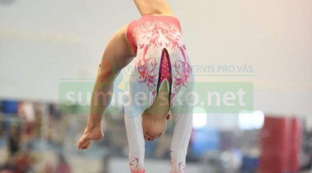 Gymnastky bojují o postup na MČR