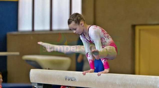 Přebor Olomouckého kraje ve sportovní gymnastice